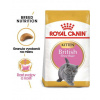 ROYAL CANIN British Shorthair Kitten Granule pre mačiatka do 12 mesiacov 20 kg (2 x 10 kg)