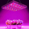 Osvetlenie pre rastliny - LED panel pre pestovanie rastlín pestovať 30W 144 LED PC (Osvetlenie pre rastliny - LED panel pre pestovanie rastlín pestovať 30W 144 LED PC)