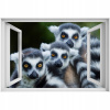 Self -adhézne 3D okno lemur nálepka 90x60 (Self -adhézne 3D okno lemur nálepka 90x60)