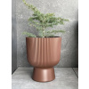 Prosperplast Kvetináč s vkladom MILLY DBMIG300 hnedý 29,8cm