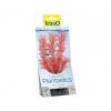 Tetra Red Foxtail 15cm rastlina plast. S