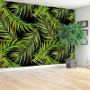 Fototapeta Palmové listy
