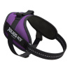 Julius-K9 IDC Powerharness Dark Purple - postroj najvyššej kvality, postroj pre psa, tmavo fialový - Mini-Mini