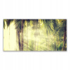 Obrázok s grafikou 140x70 cm lesné palmy Príroda (Obrázok s grafikou 140x70 cm lesné palmy Príroda)