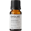 Evolve Organic Beauty Wild Divine Essence - 10 ml