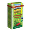AGROKARPATY UROLOGICKÝ svätojánsky bylinný čaj 20x2 g (40 g)