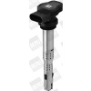BorgWarner (BERU) Zapalovací cívka ZSE129