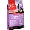 ORIJEN Dog Puppy Large 6kg