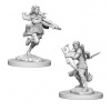 Dungeons & Dragons Nolzur's Marvelous Miniatures - Air Genasi Female Rogue 2-pack, 4 cm