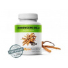 MycoMedica Cordyceps CS-4 90 kapslí