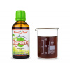 M-stop (Migrestop) - bylinné kapky (tinktura) - doplněk stravy 50 ml