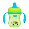 Chicco Hrnček Training s držadlami 200 ml, 6m + Zelený