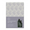 Paul Mitchell Summer Duo Lavender Mint Shampoo a Overnight Moisture Therapy - šampón pre suché vlasy, 300 ml a bezoplachová nočná starostlivosť, 100 ml
