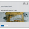 Ein Deutsches Requiem Op45 Version H Poo CD