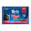 Brit Premium Cat Delicate Fillets in Gravy Turkey and Chicken, Beef and Peas 4 x 100 g