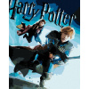Maľovanie podľa čísel Plagát Harry Potter a princ dvojakej krvi Ron a Ginny, 40x50 cm, vypnuté plátno na rám (6067001)