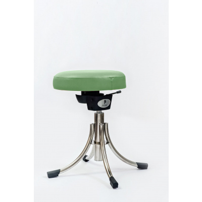 Spinergo Music - ergonomická stolička Farba: Zelená