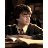 ZUTY Maľovanie podľa čísel - HARRY POTTER S KNIHOU Rámovanie: vypnuté plátno na rám, Rozmer: 40x50 cm