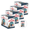 Royal Canin Hairball Care Gravy 48 x 85 g