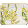 Villeroy & Boch Podšálka 17 x 14 cm Amazonia