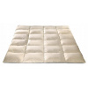 Perina, paplón - Prikrývka Penpol 200 x 160 cm (Celú prikrývku dole 160cmx200cm 1,6 kg)