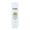 Goldwell Dualsenses Rich Repair Restoring Shampoo 250 ml