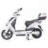 Racceway E-Fichtl 250W 20Ah Biely