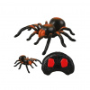 RC Tarantula