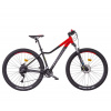 MAYO XC 29