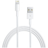 Apple Lightning to USB Cable 0,5 m ME291ZM/A