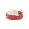 Vasky obojok Red 30 mm - kožený obojok pre psov červený EU