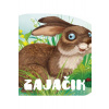Zajačik - Kolektív