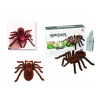 Auto na diaľkové ovládanie - Diaľkovo ovládané RC + pilot 8+ Tarantula (Auto na diaľkové ovládanie - Diaľkovo ovládané RC + pilot 8+ Tarantula)