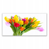 Stena foto box 140x70 tulips kvety rastlina (Stena foto box 140x70 tulips kvety rastlina)