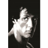 CUKROVÁ TLAČ jedlý obrázok na tortu Cukrová hmota Sylvester Stallone Rocky Balboa
