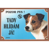 Dafiko Ceduľka jack russel terier 1 ks (664-110920)