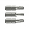 Extol Bit Torx TX45x25mm S2 3ks