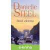 E-kniha Bod zlomu - Danielle Steel
