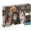 Clementoni Krásne mačiatka 1000 dielov