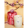 My Jolie Candle MJC Sviečka s náramkom, Čerešňový kvet 180g, Les Surprenantes