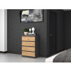 Topeshop M4 ANTRACYT/ARTISAN chest of drawers