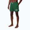 Pánske plavkové šortky Nike Lap Logo 5