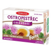 TEREZIA Pestrec + reishi forte 60 kapsúl