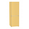 Liebherr CNcsp 5203 SunnyPineaplple