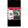 Mexico Washed SHG Fair Trade ORGANIC 100%