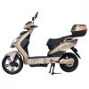 Racceway E-Fichtl 250W 12Ah Zlatý