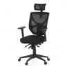 Autronic Kancelářská židle, asynchronní mechanismus, černá, KA-Q8250 BK