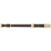Aulos 503B Symphony
