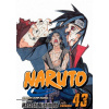 Naruto, Vol. 43: The Man with the Truth - Masashi Kishimoto