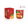 Bartek Candles Christmas Fruit Garden - Orange with Spices 150 g